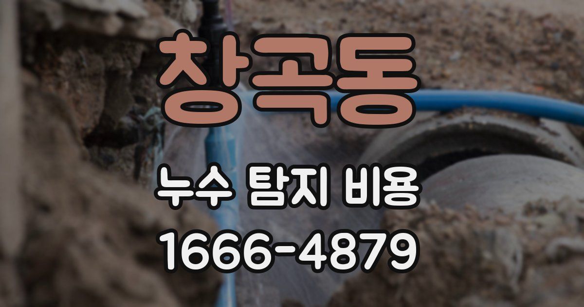 창곡동 누수 탐지 비용