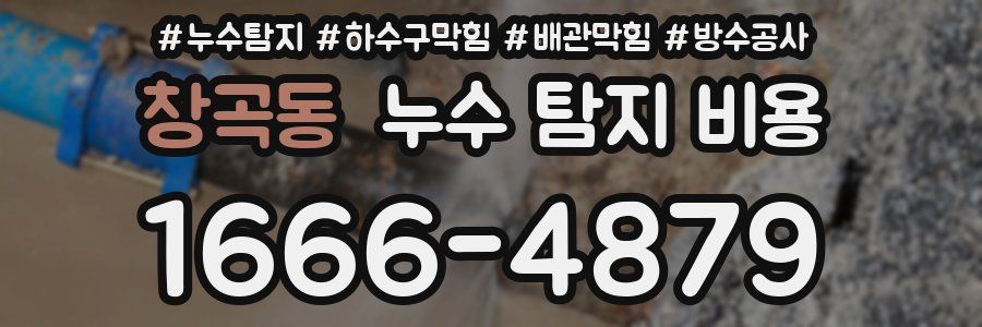 창곡동 누수 탐지 비용