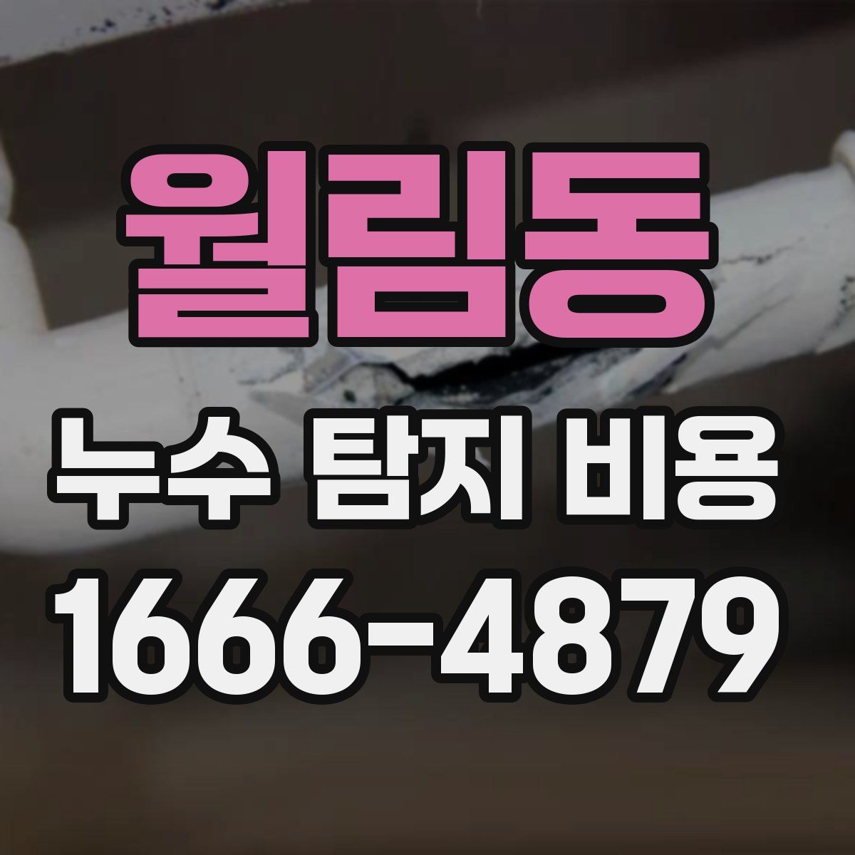 월림동 누수 탐지 비용