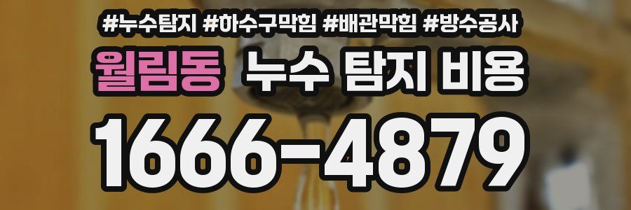 월림동 누수 탐지 비용