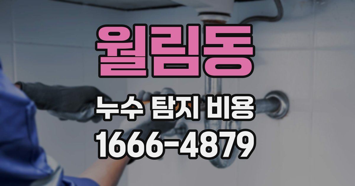 월림동 누수 탐지 비용
