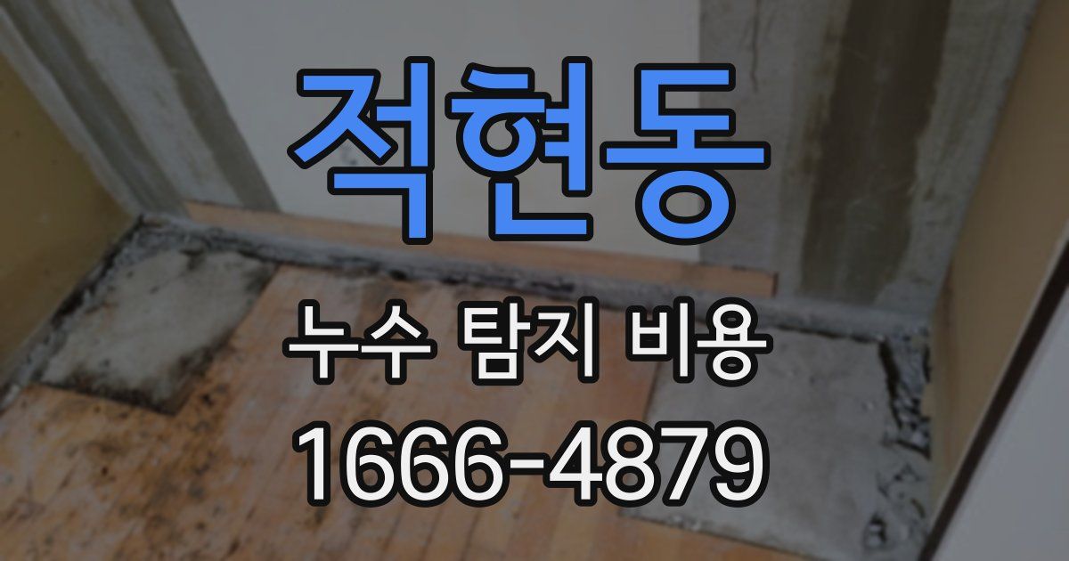 적현동 누수 탐지 비용