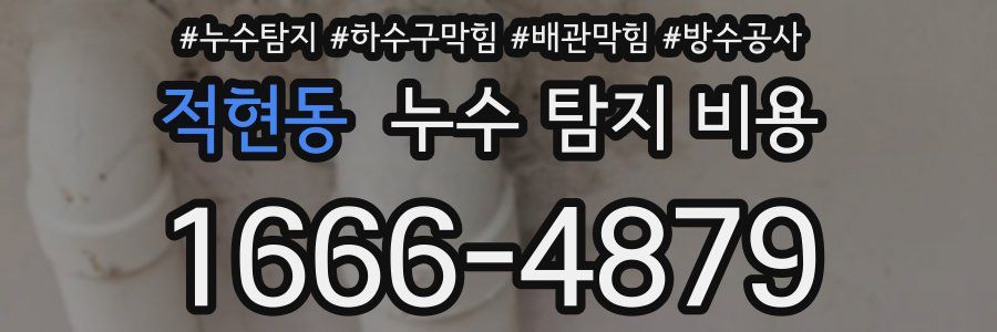 적현동 누수 탐지 비용