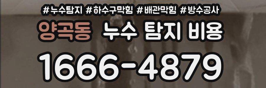 양곡동 누수 탐지 비용