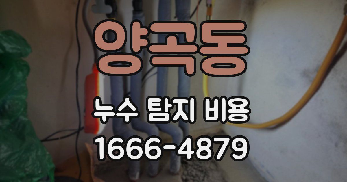 양곡동 누수 탐지 비용