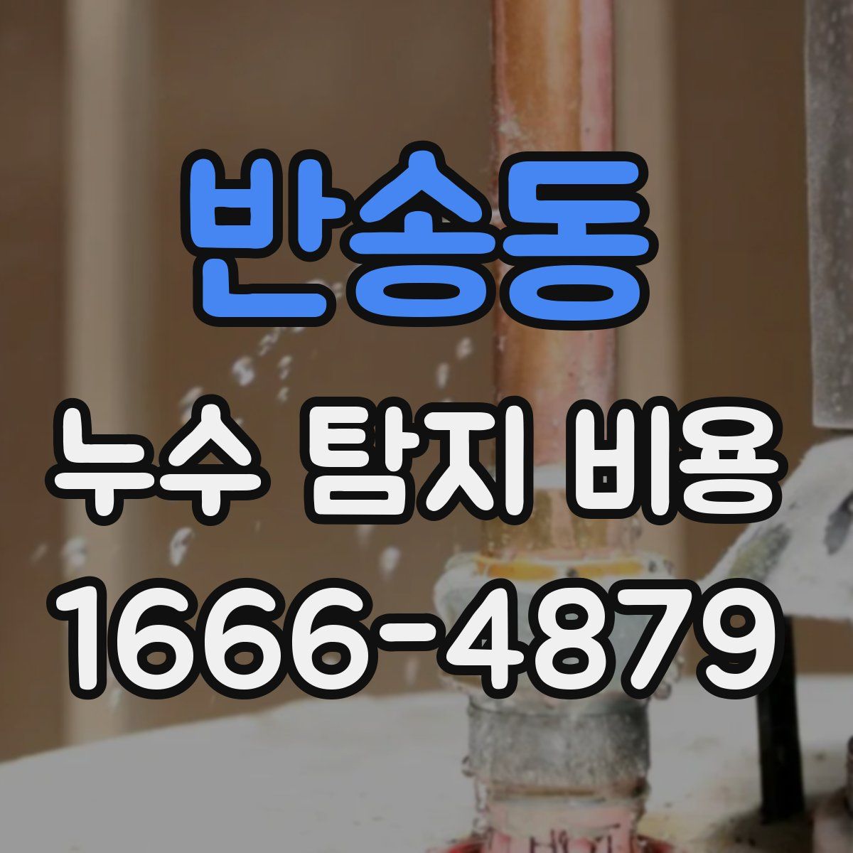 반송동 누수 탐지 비용