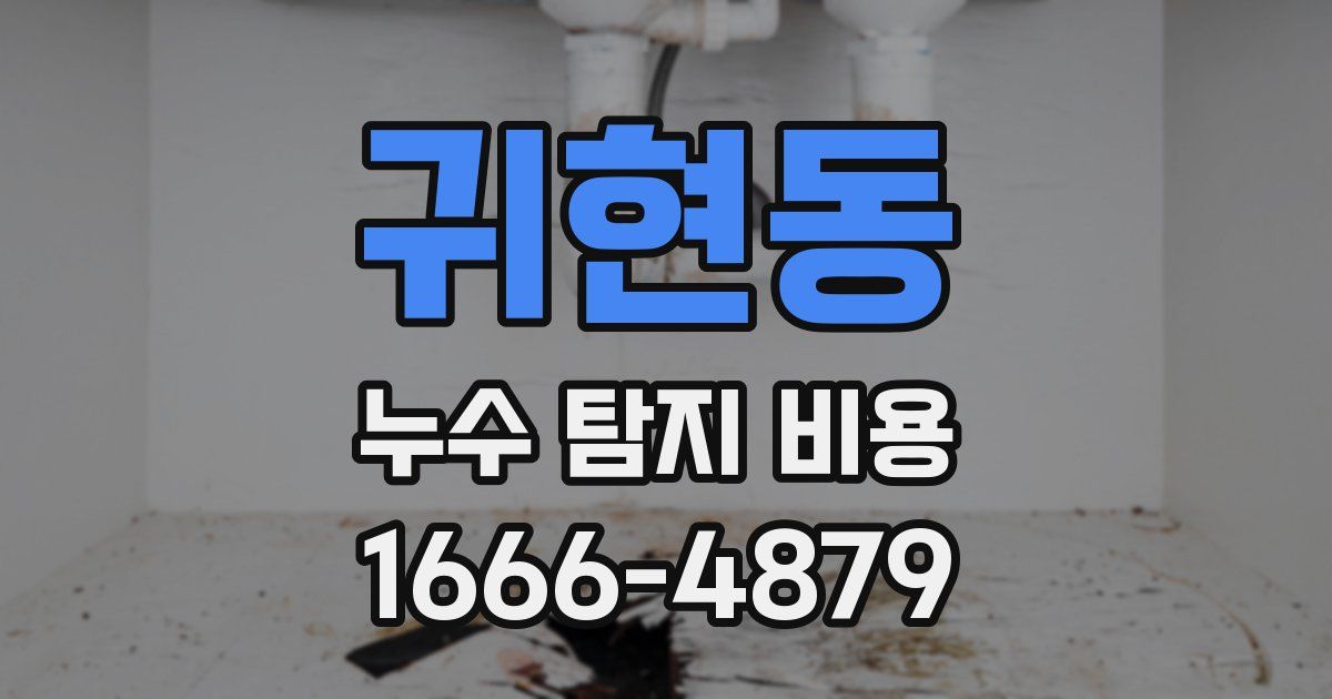 귀현동 누수 탐지 비용