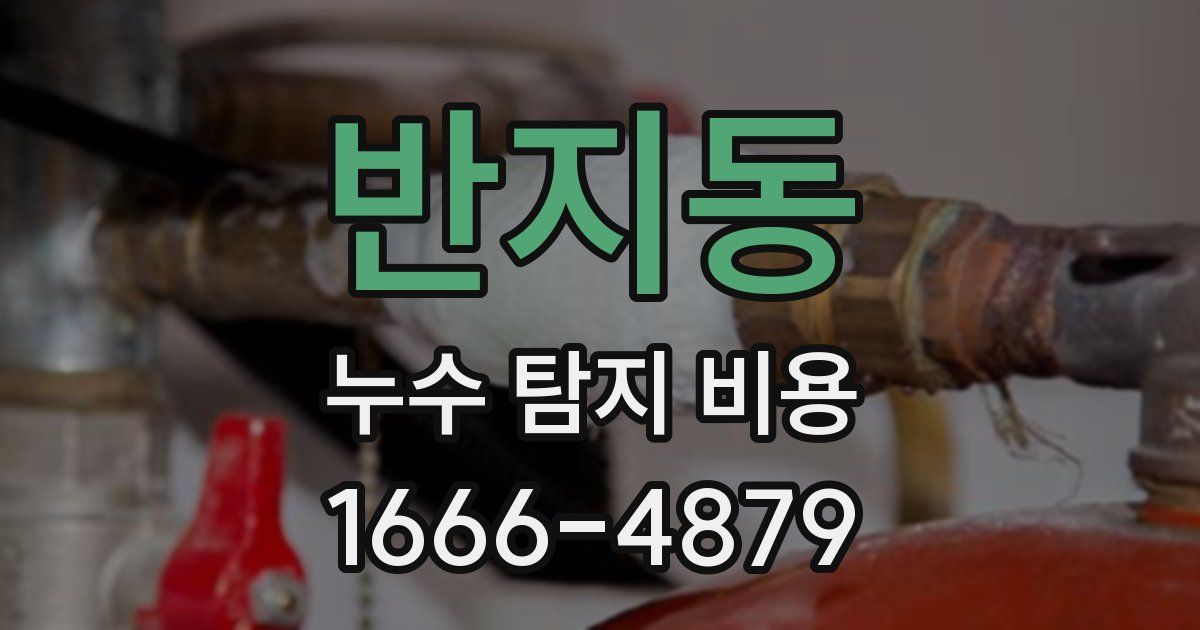 반지동 누수 탐지 비용