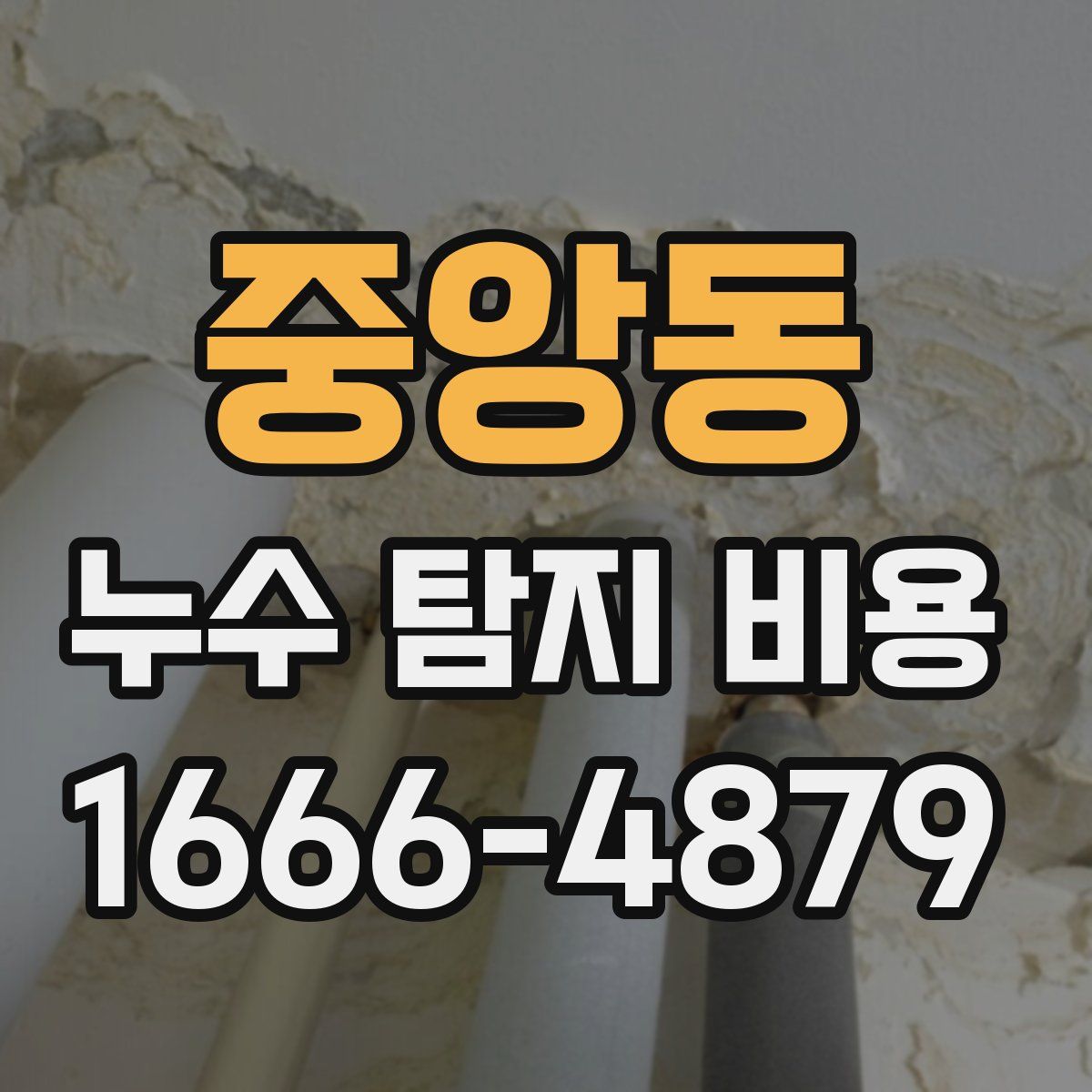 중앙동 누수 탐지 비용