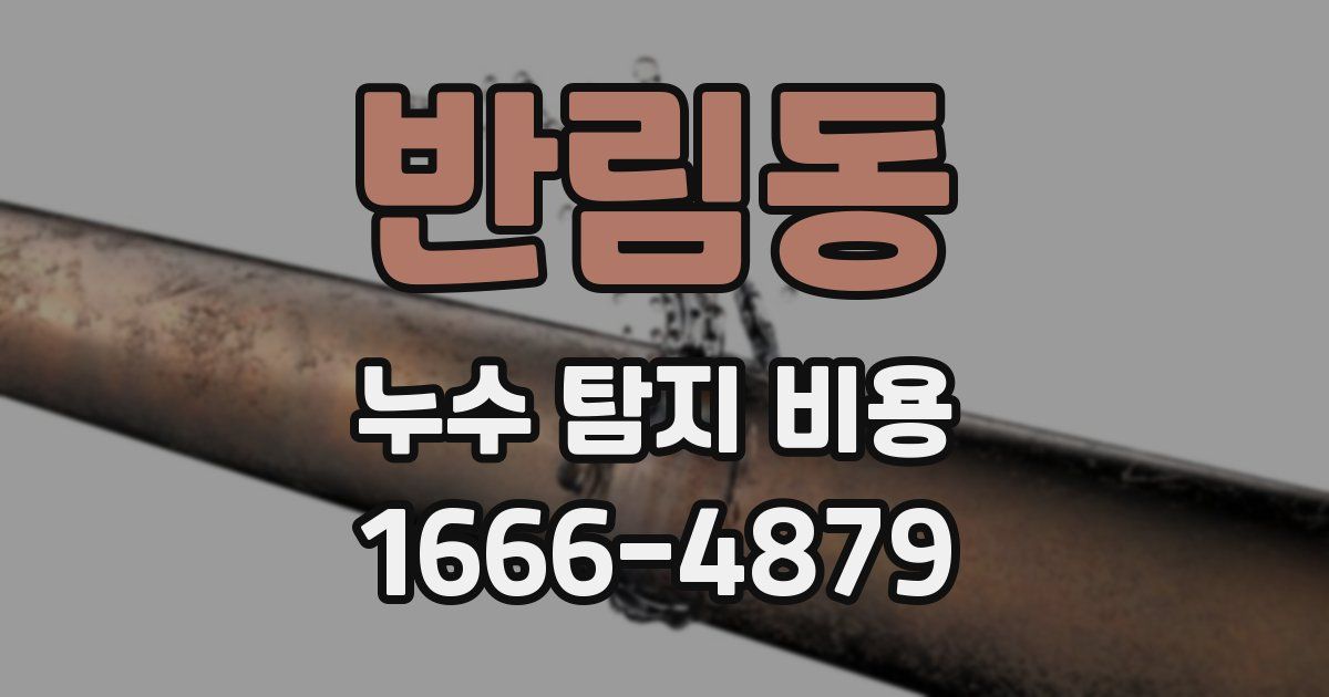 반림동 누수 탐지 비용