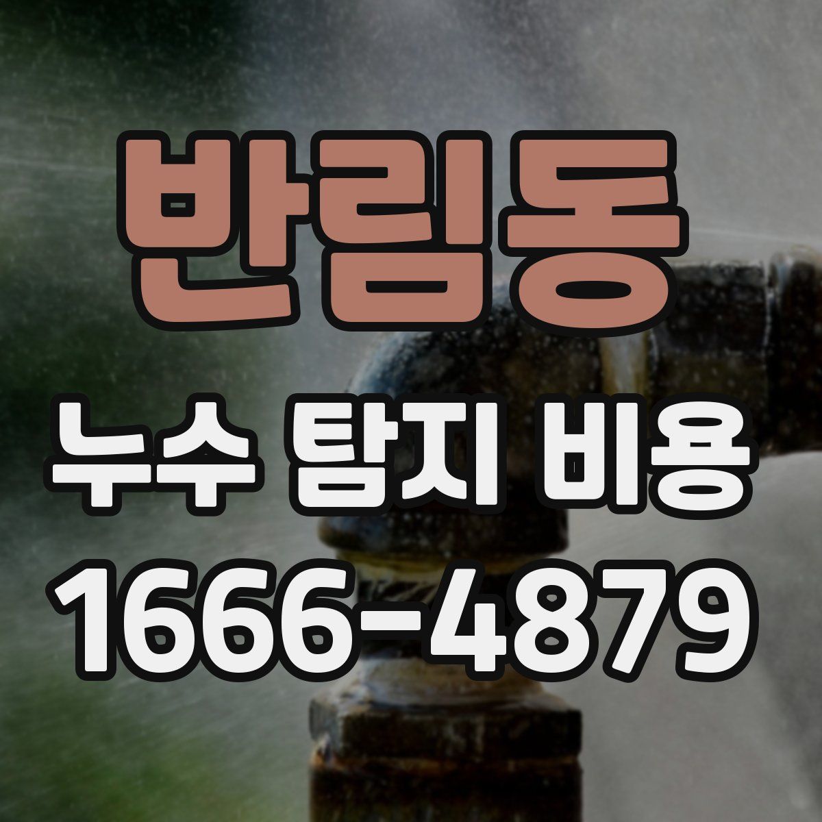 반림동 누수 탐지 비용