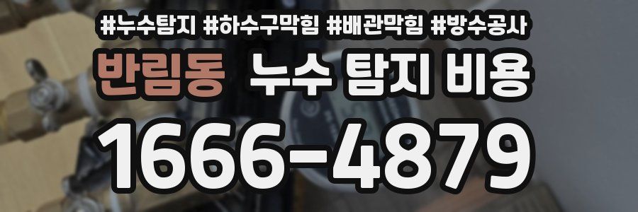 반림동 누수 탐지 비용
