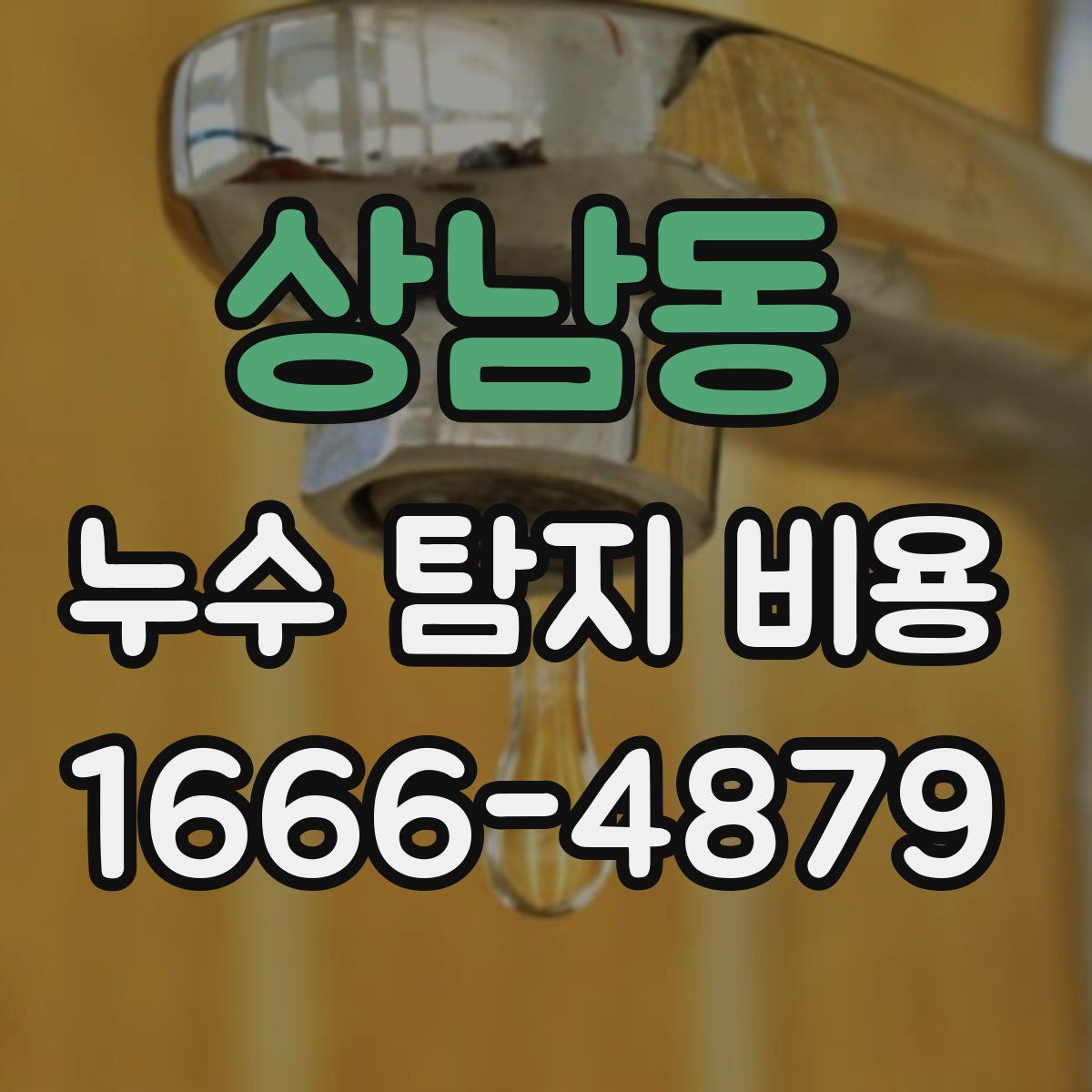 상남동 누수 탐지 비용