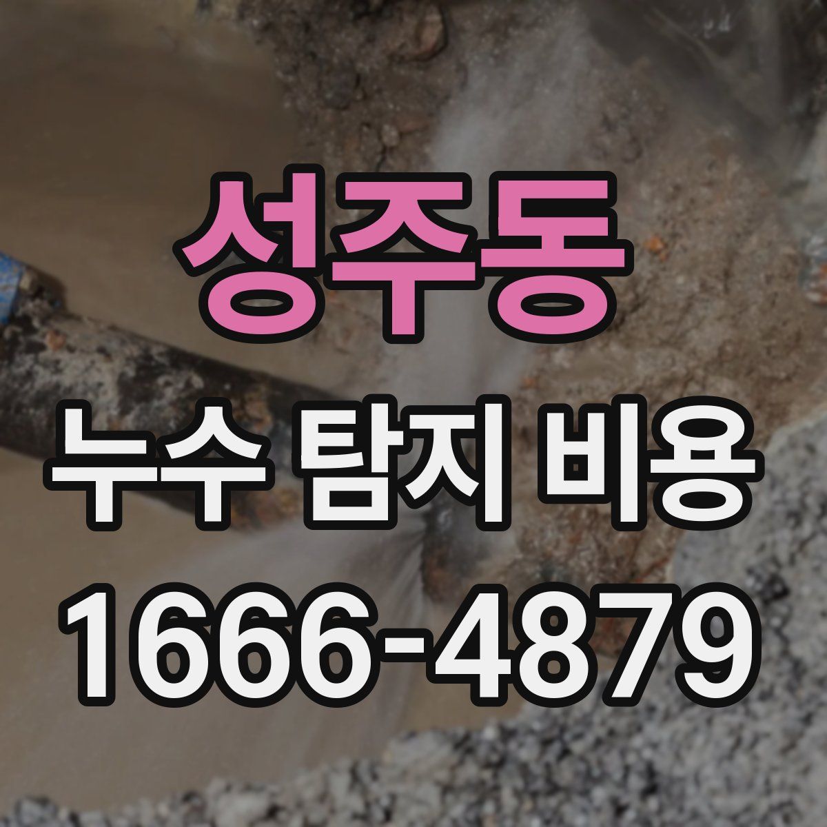 성주동 누수 탐지 비용