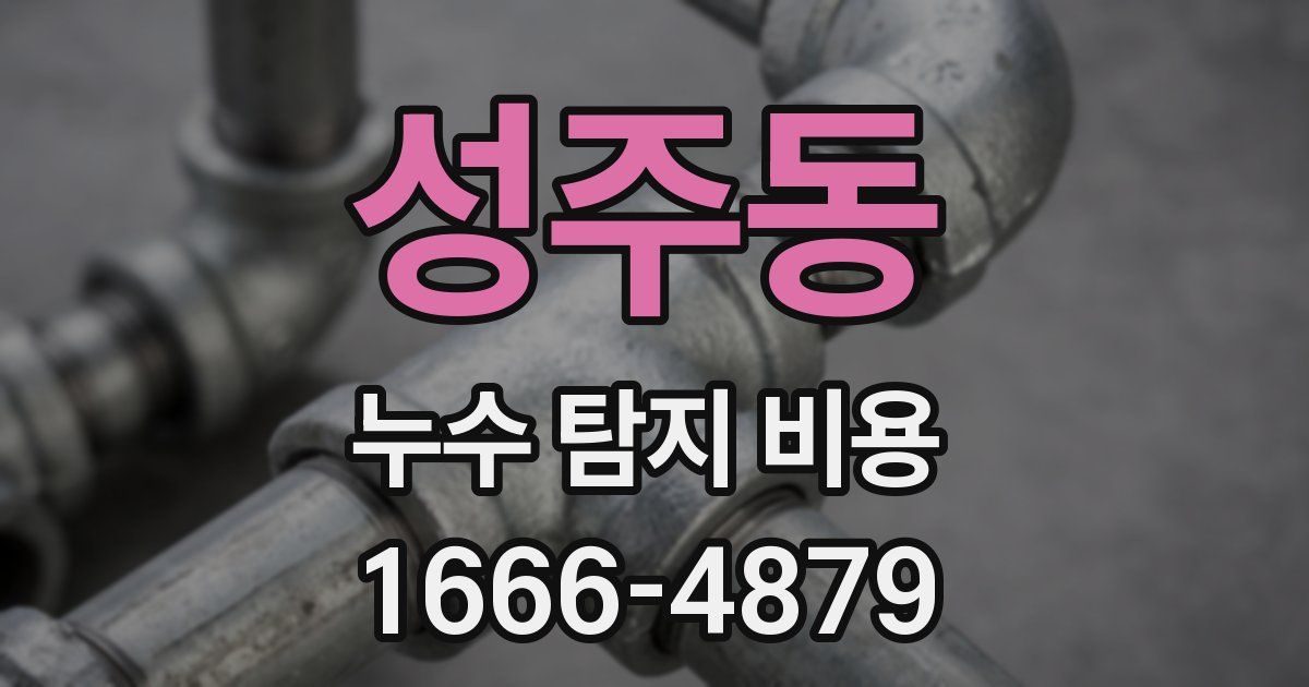성주동 누수 탐지 비용