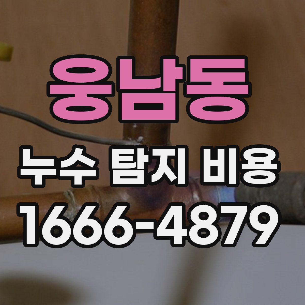 웅남동 누수 탐지 비용