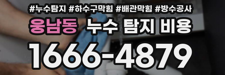 웅남동 누수 탐지 비용