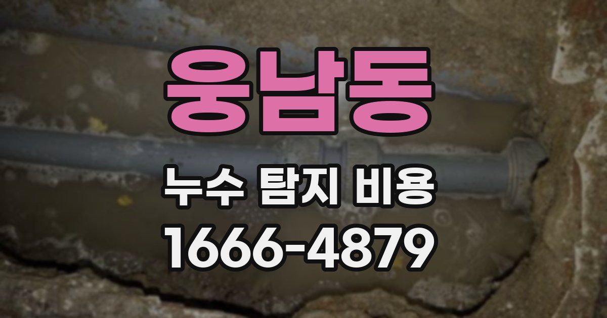 웅남동 누수 탐지 비용