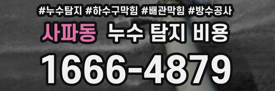 사파동 누수 탐지 비용