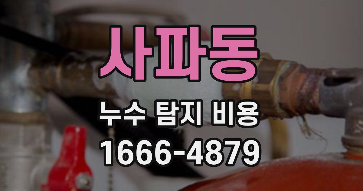 사파동 누수 탐지 비용