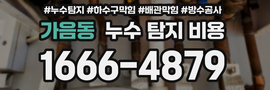 가음동 누수 탐지 비용