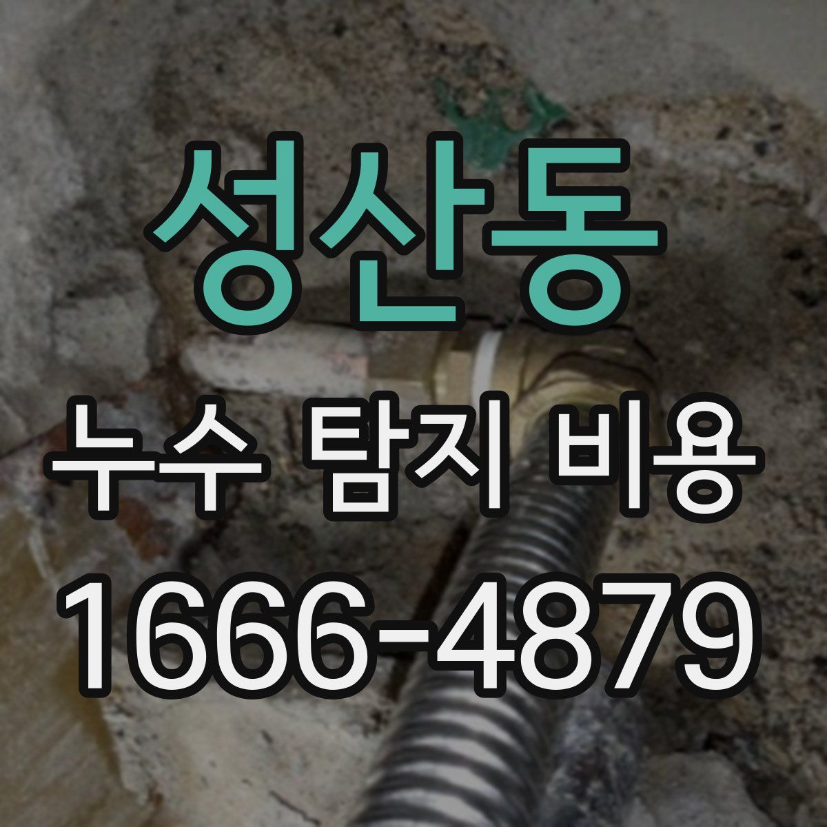 성산동 누수 탐지 비용