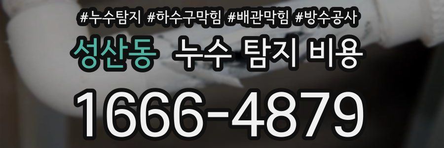 성산동 누수 탐지 비용