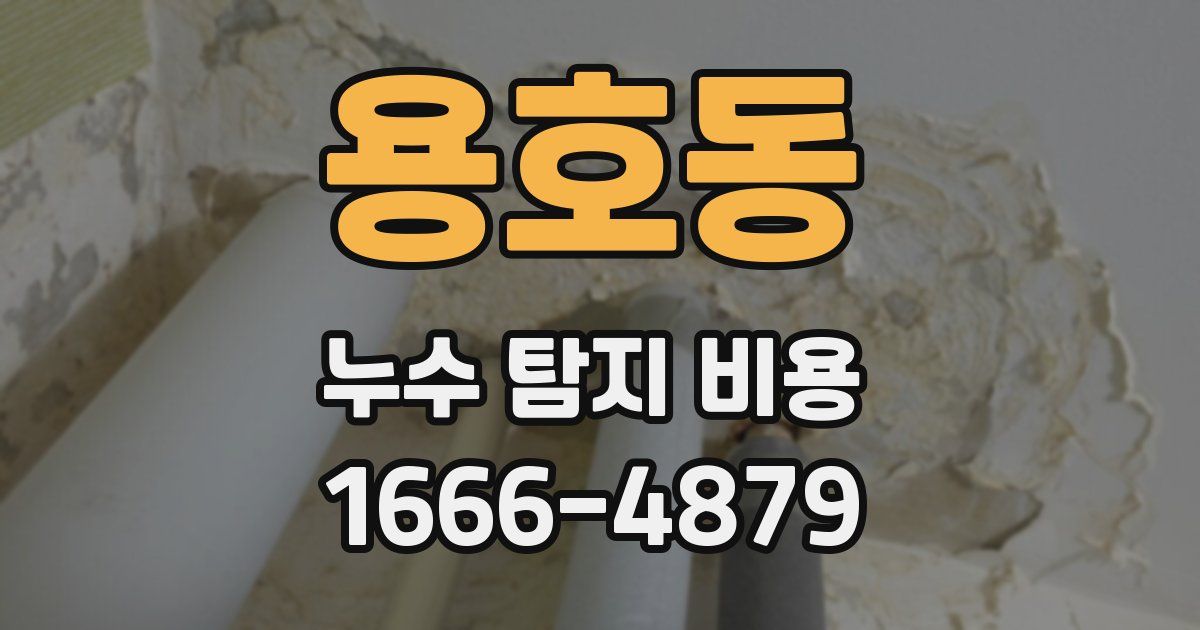 용호동 누수 탐지 비용