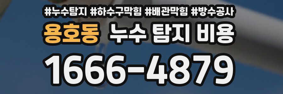 용호동 누수 탐지 비용