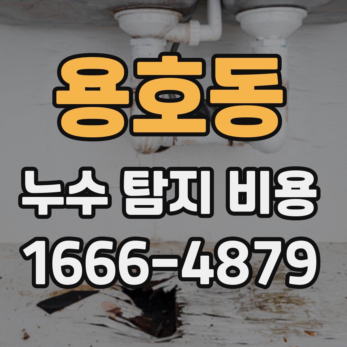 용호동 누수 탐지 비용
