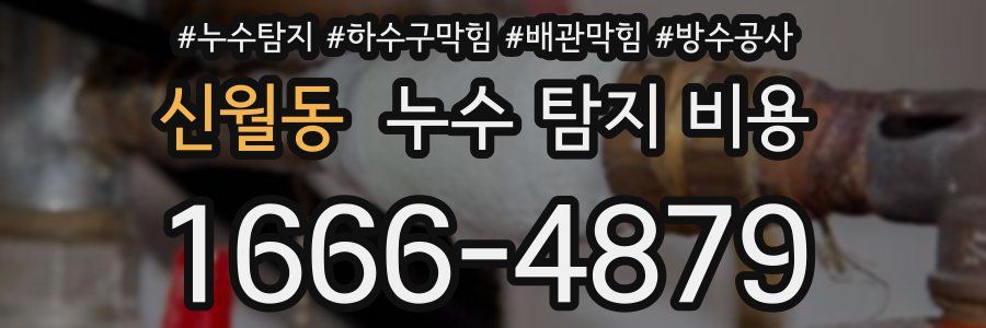 신월동 누수 탐지 비용