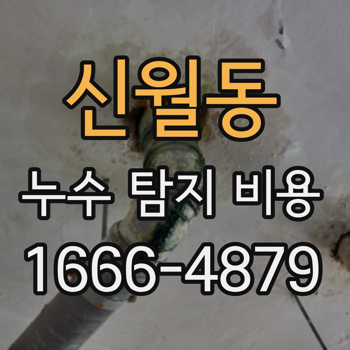 신월동 누수 탐지 비용