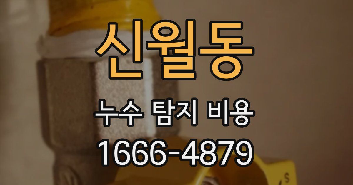 신월동 누수 탐지 비용