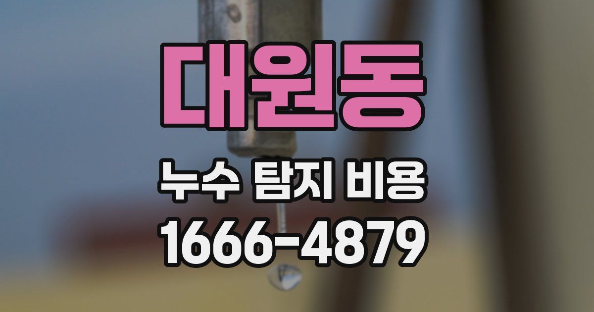 대원동 누수 탐지 비용