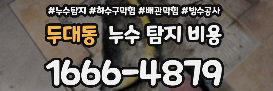 두대동 누수 탐지 비용