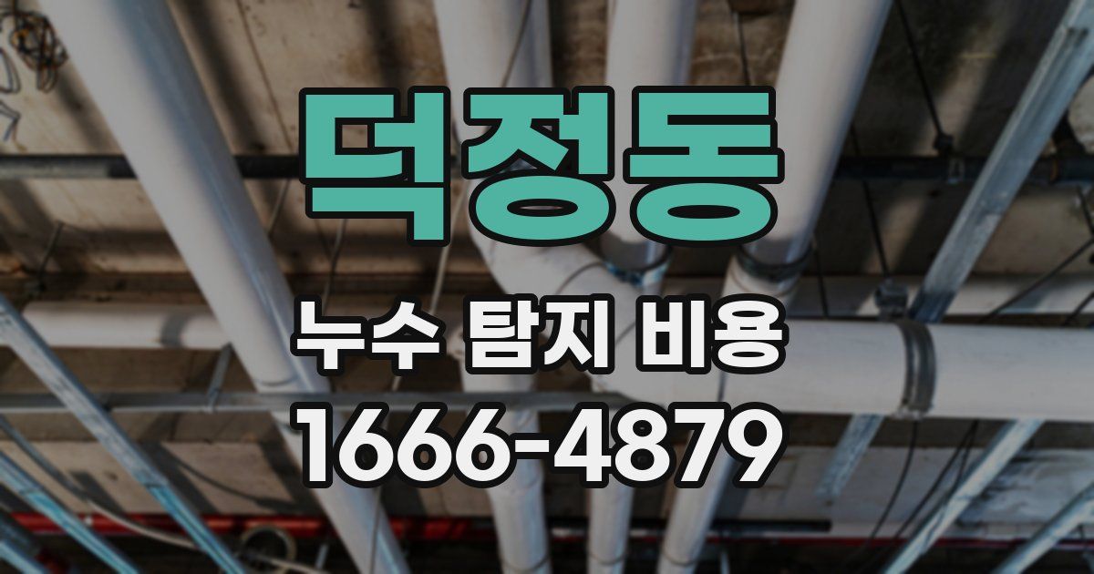 덕정동 누수 탐지 비용