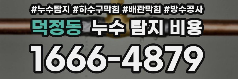 덕정동 누수 탐지 비용