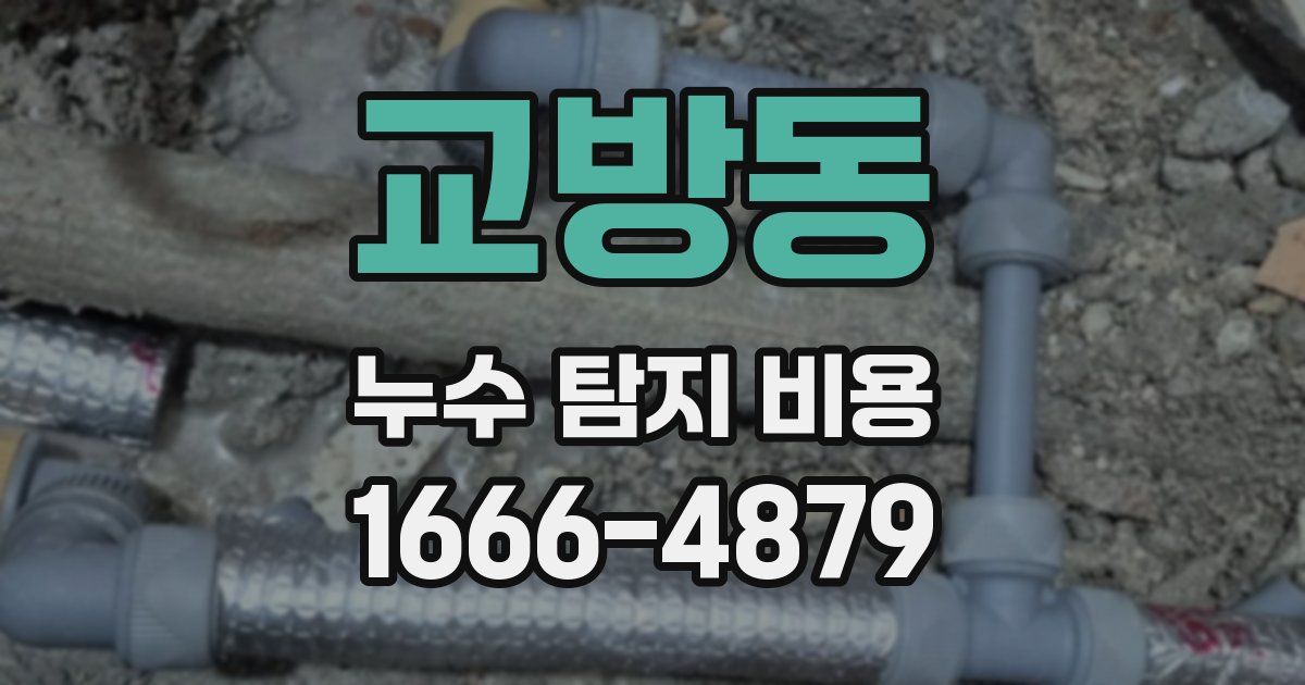교방동 누수 탐지 비용