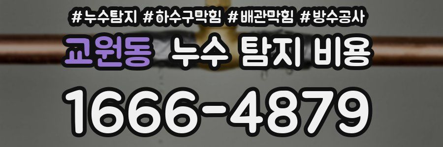 교원동 누수 탐지 비용