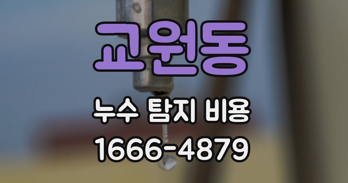 교원동 누수 탐지 비용