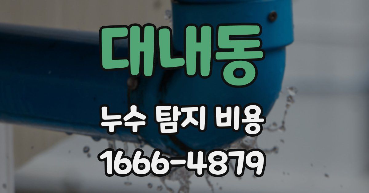 대내동 누수 탐지 비용
