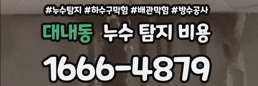 대내동 누수 탐지 비용