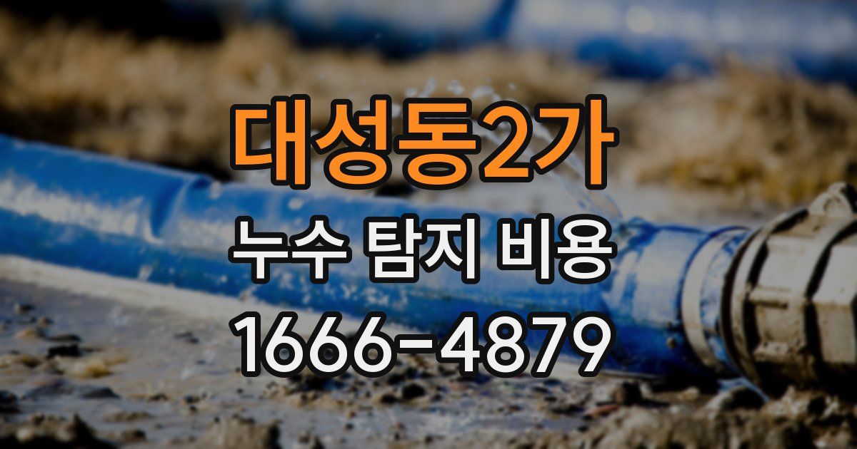 대성동2가 누수 탐지 비용
