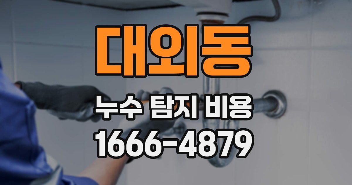 대외동 누수 탐지 비용