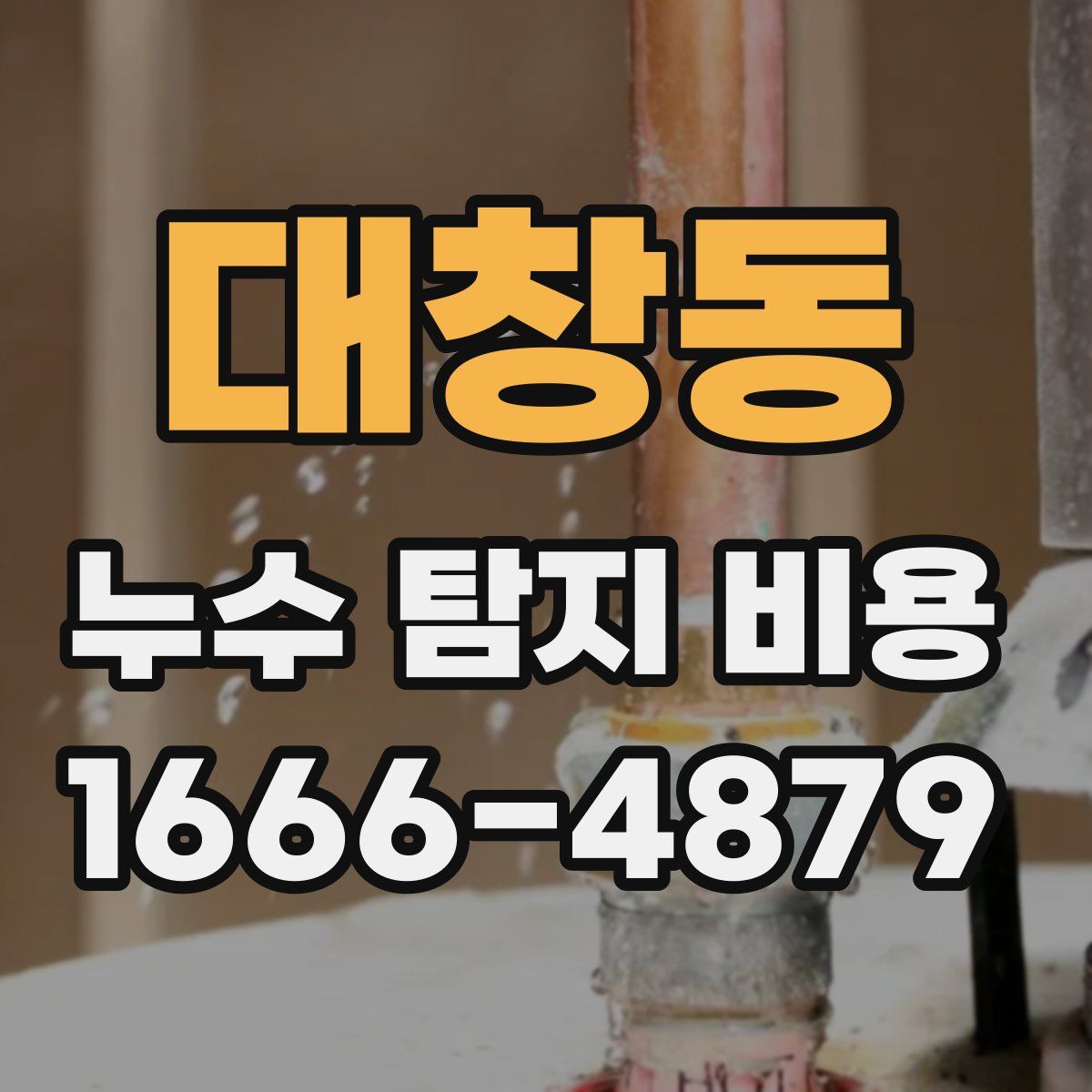 대창동 누수 탐지 비용