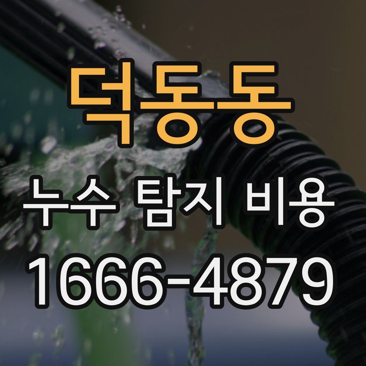 덕동동 누수 탐지 비용