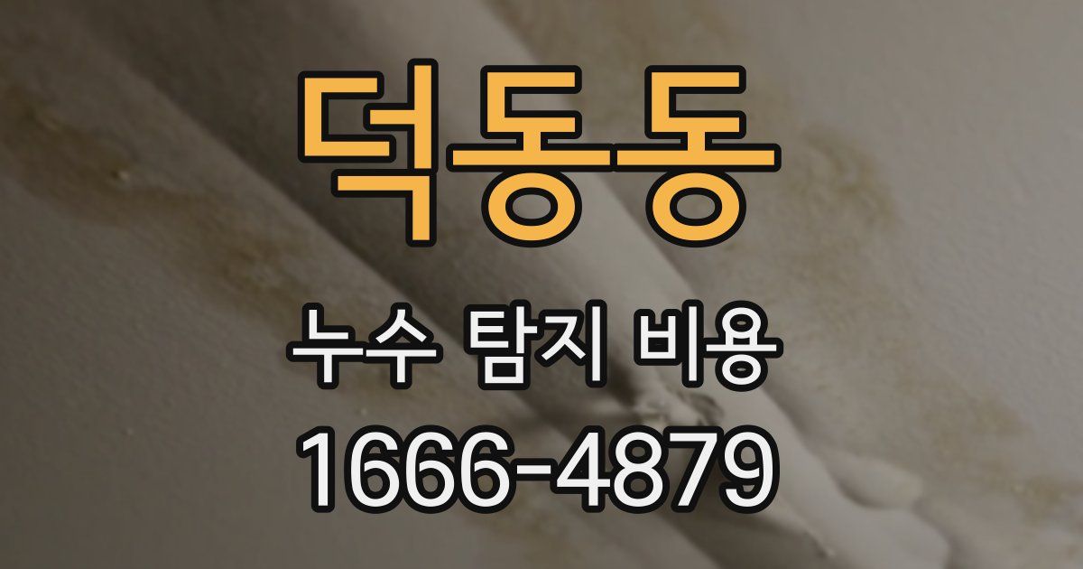 덕동동 누수 탐지 비용
