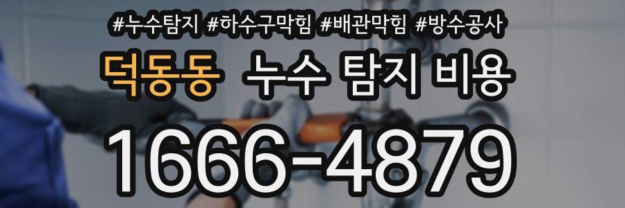 덕동동 누수 탐지 비용