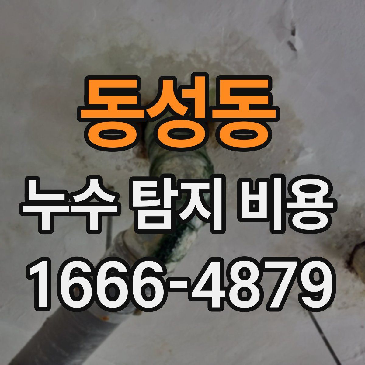 동성동 누수 탐지 비용