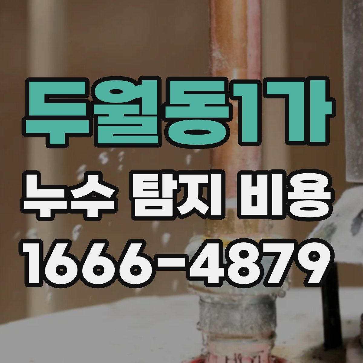 두월동1가 누수 탐지 비용